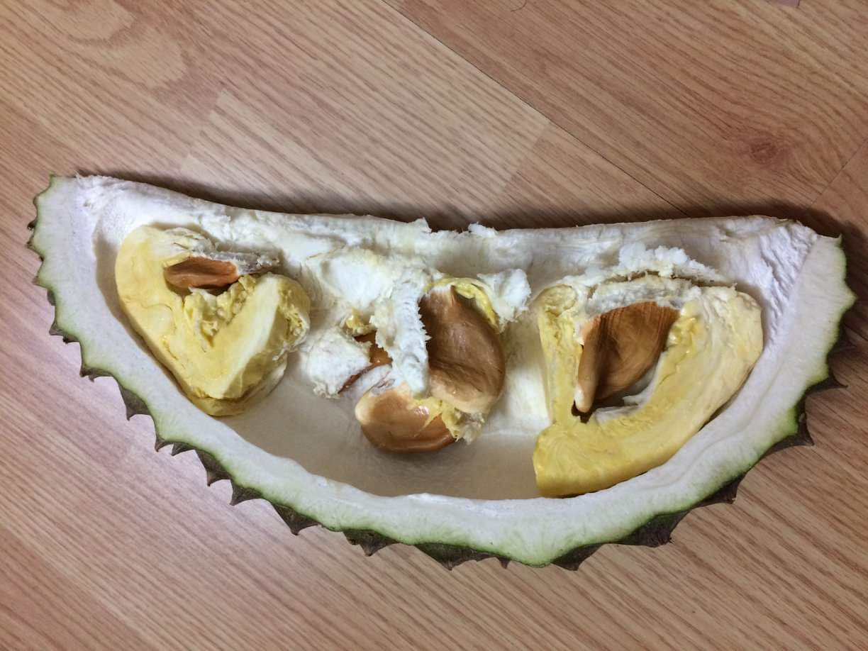 榴莲品种d13,泰国榴莲d197是什么品种