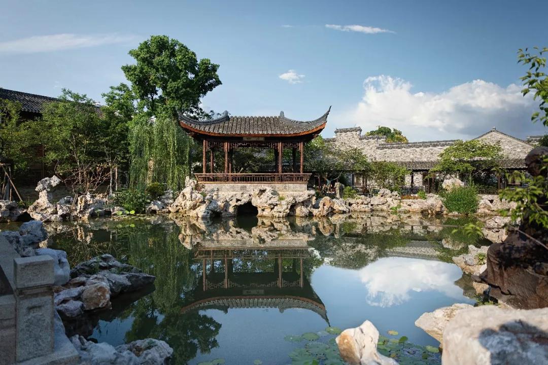 南京版“武康路”火了！藏在市区的南台巷到底有多少宝藏？