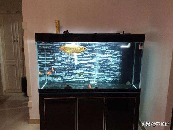 鱼缸造氧方法,鱼缸空气缸怎么形成的