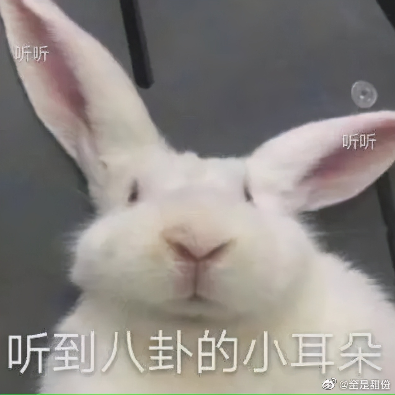 这是我见过最霸气的吸血鬼,现在的吸血鬼vs当年的吸血鬼