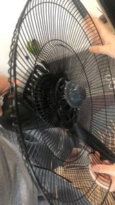 风扇到底值不值得买,杂牌风扇靠谱吗