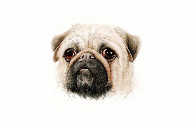 零基础也能学会的绘画教程,绘画教程学会这招零基础也能画