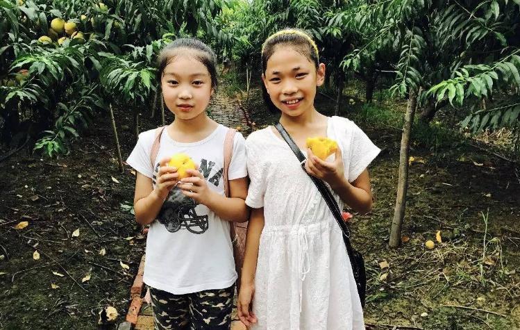 桃养人杏害人的原因,桃子养人杏伤人是真的吗