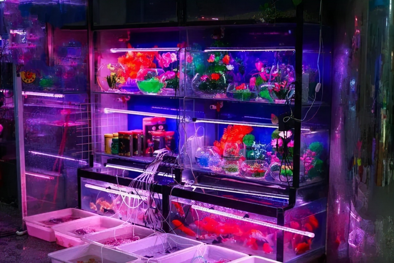 求求你，别再误会和平人了