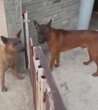 第一次人机大战电影,第一次人机战争