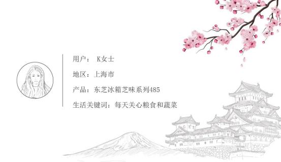 新买东芝冰箱第一次使用注意什么,东芝冰箱系统坏了能修吗