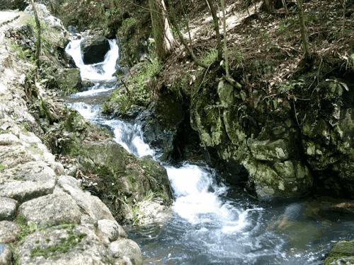 大自然山水花鸟大全,回归自然山水花鸟