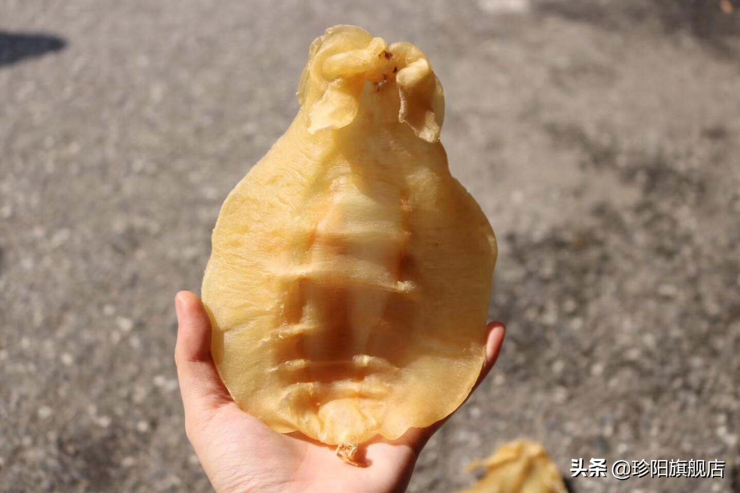 4两鳘鱼胶,即食鱼胶有效期多久