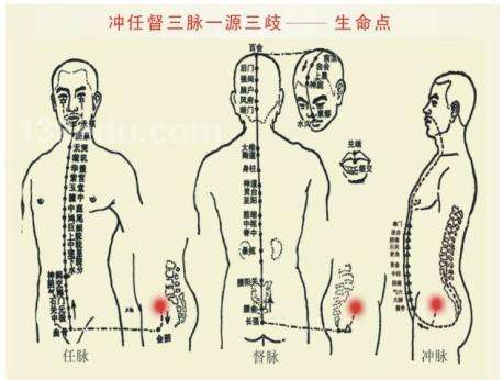 奇经八脉与十二经脉循行动态图,奇经八脉中任督二脉的循行分布