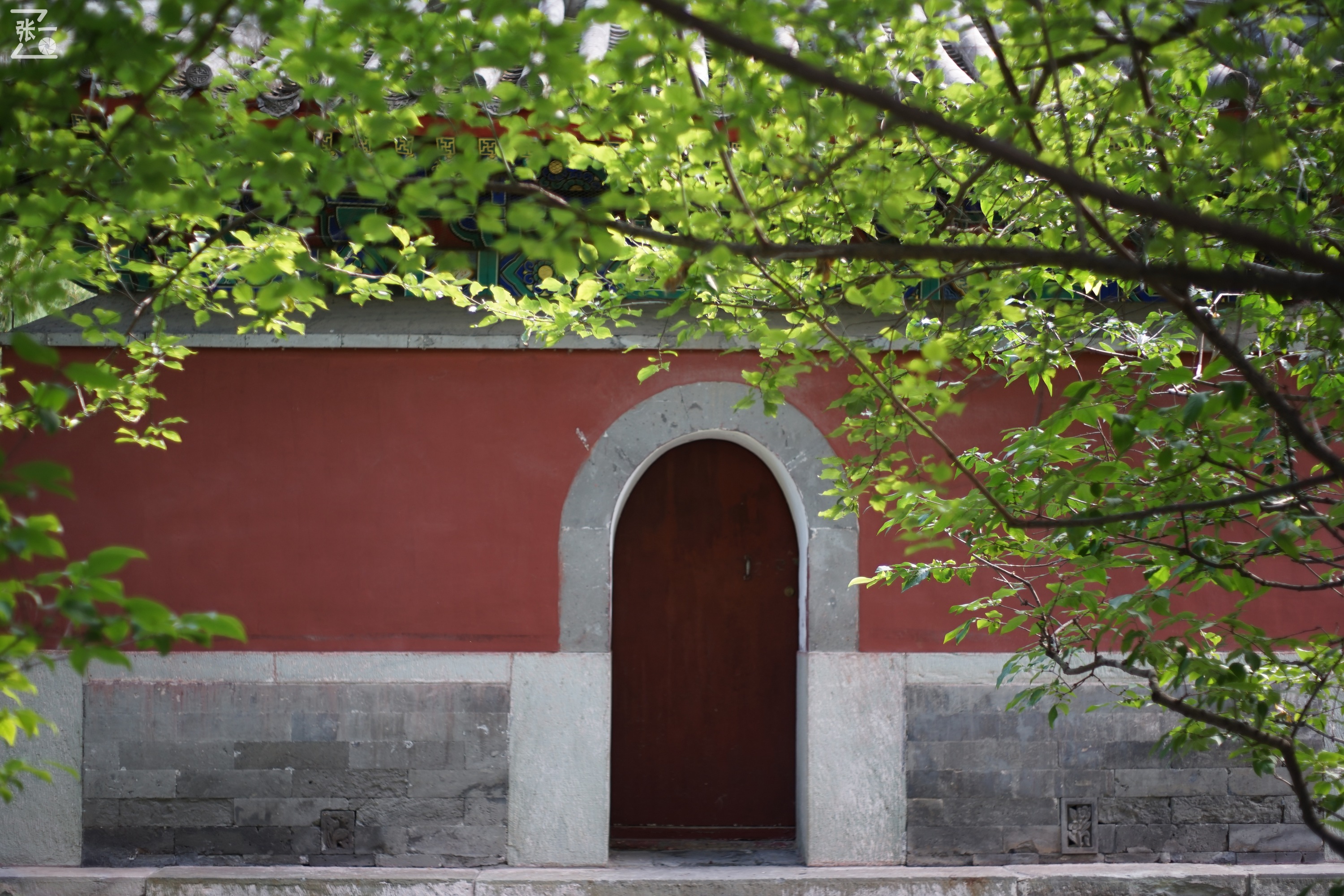 宾得老镜头k系列,老北京镜头