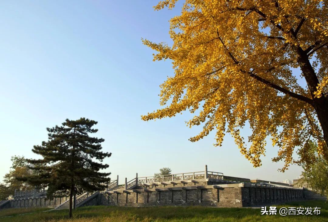 西安赏秋,西安赏秋红叶好去处