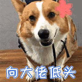 中华烟一年纳税多少钱,中华烟的成本和税收