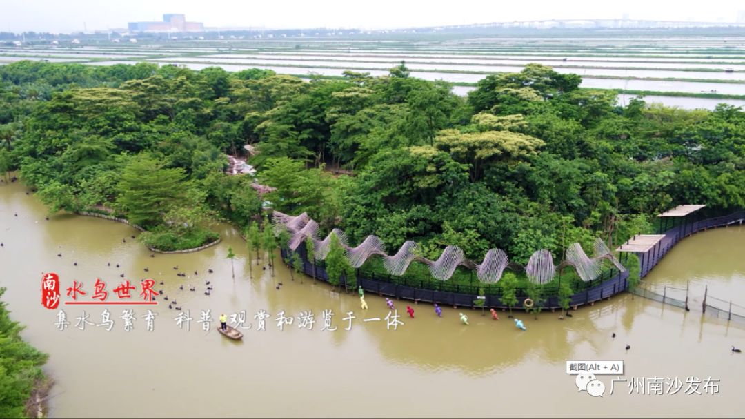 南沙真的美,南沙以后到底会怎么样