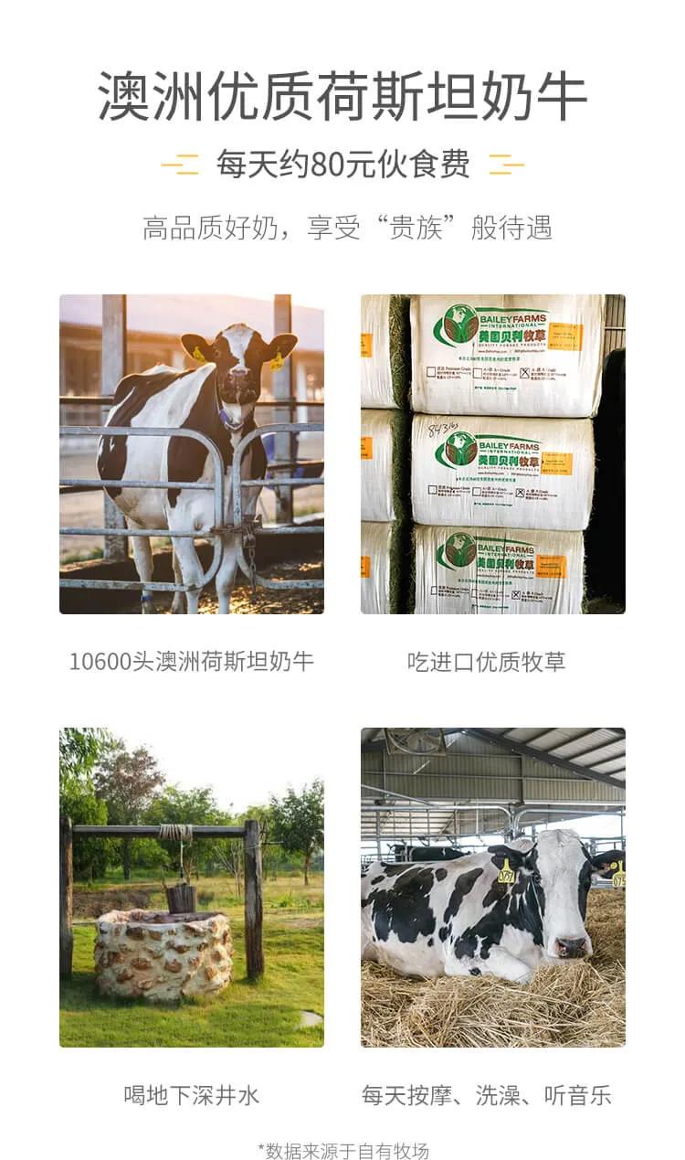 家庭元气满满的简单的早餐,元气满满早餐食谱大全