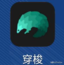 收藏|美澳留学APP大盘点，学霸都在用
