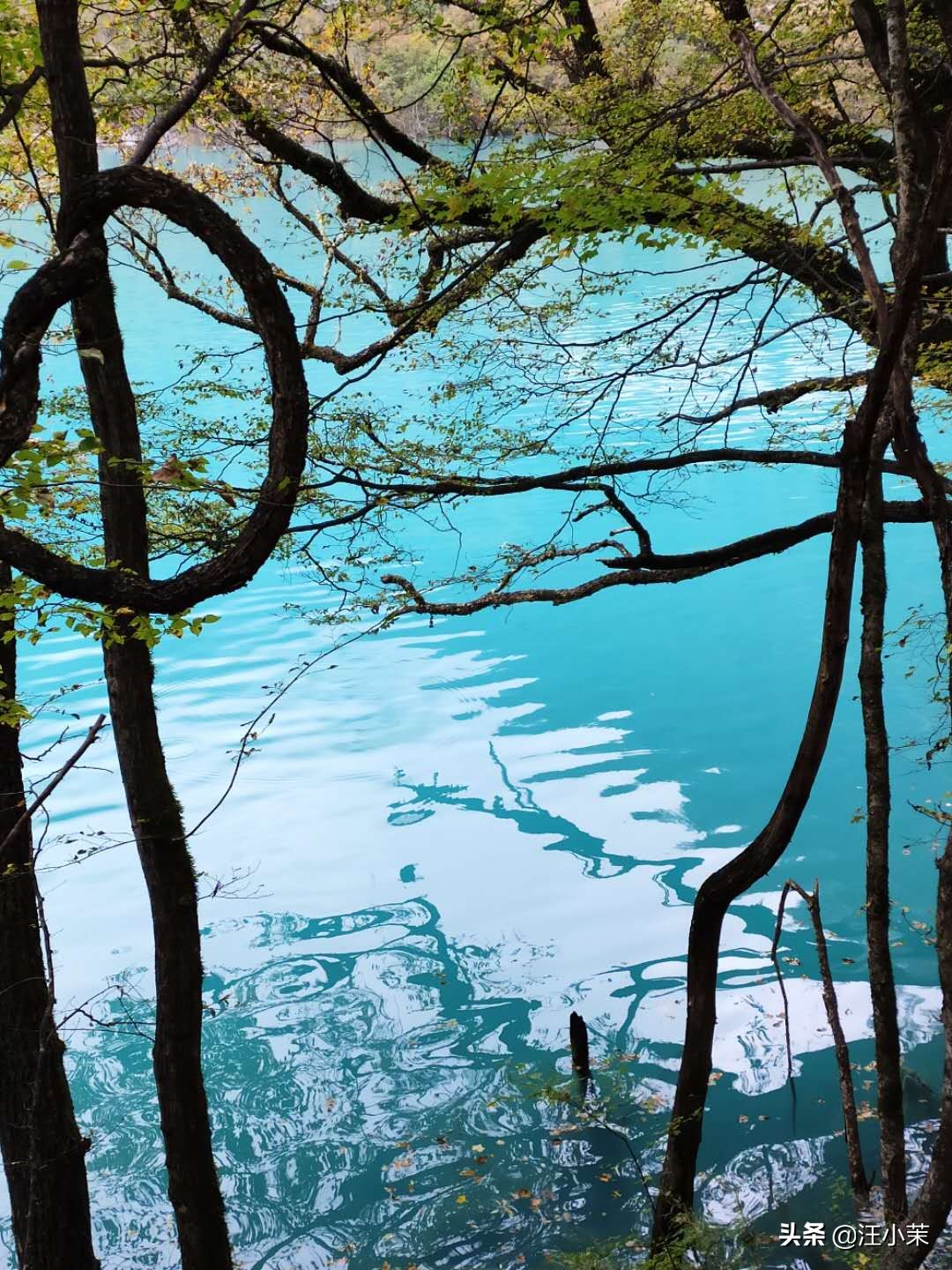 梦幻般的九寨沟之旅，却丢了存有所有照片和视频的手机：悼念小米