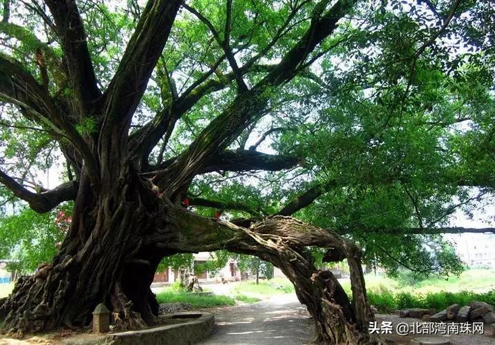 湾味@您，今日游古镇