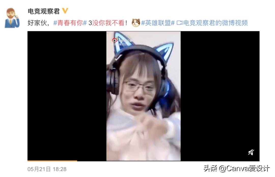 最新野生文案大全,看野生动物发的文案