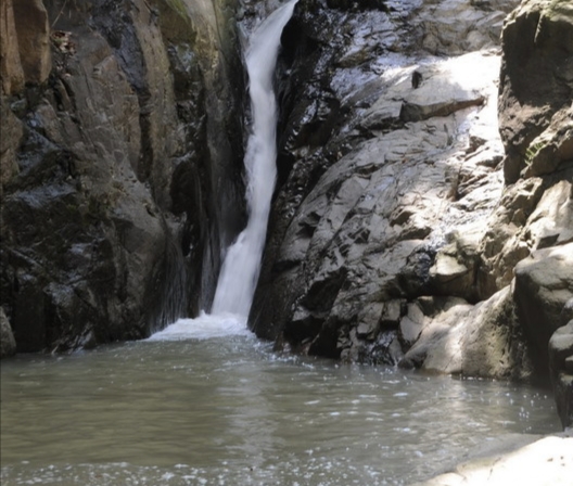 出租养殖鱼塘一亩要多少钱,农村无人看管养殖鱼塘