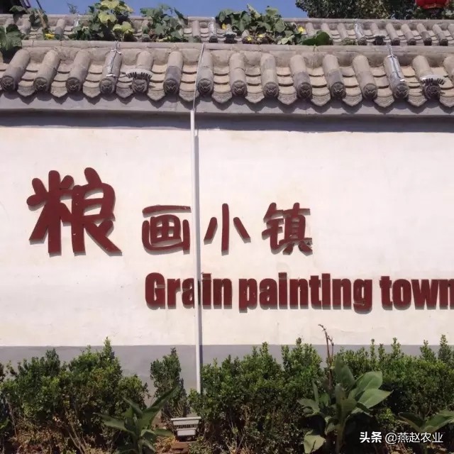 五谷杂粮制作的手工艺品,五谷杂粮制作工艺品