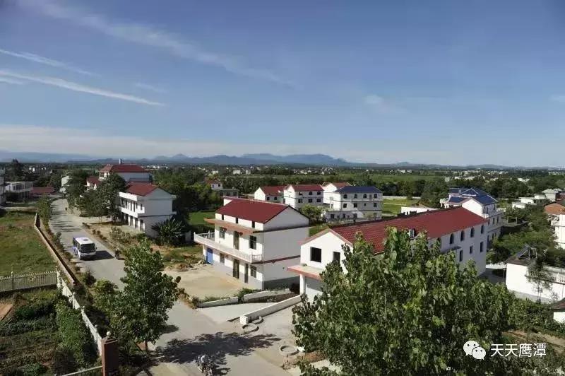 2022年江西鹰潭入围名单,鹰潭市十大镇排名