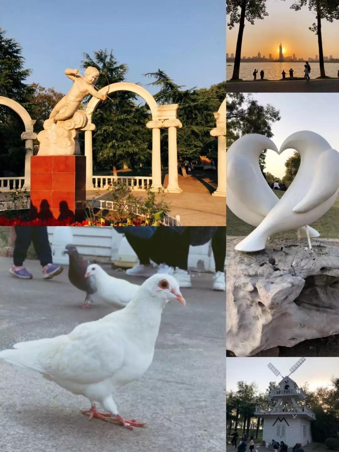 南京南京，厚重又时尚的南京——玄武湖篇