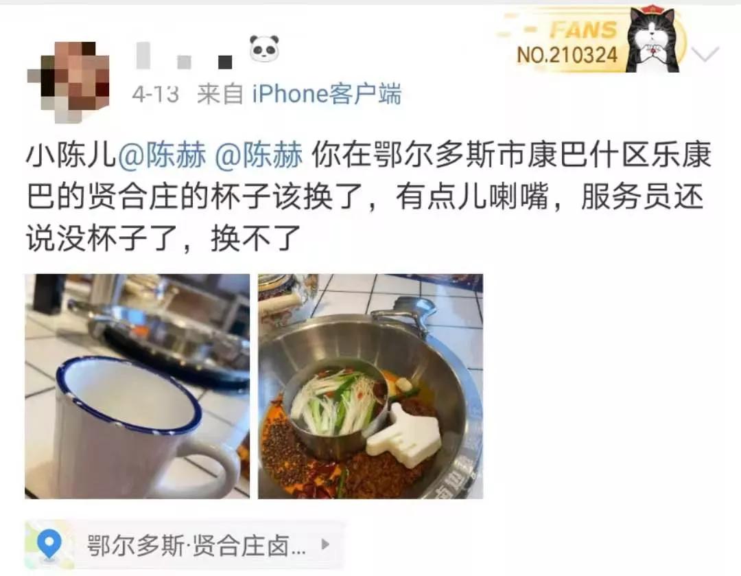 网红火锅店被打,网红在海底捞被骂