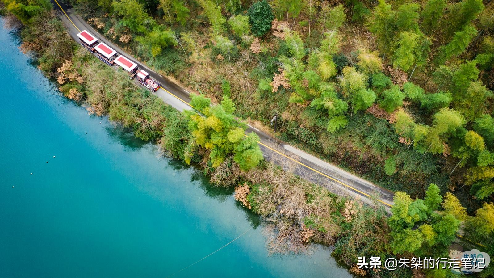 中国最美竹海在竹都江安,中国最大的竹海景区