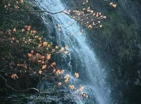 北京这38个森林公园您先收藏了!定个小目标,有空儿玩个遍!