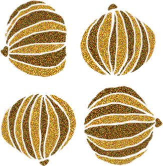 烹饪菜肴用的香辛料,料理必备调味料