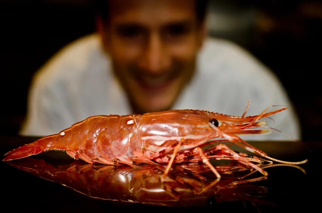 所有虾类哪种更好吃些图片,给你科普一下虾的种类