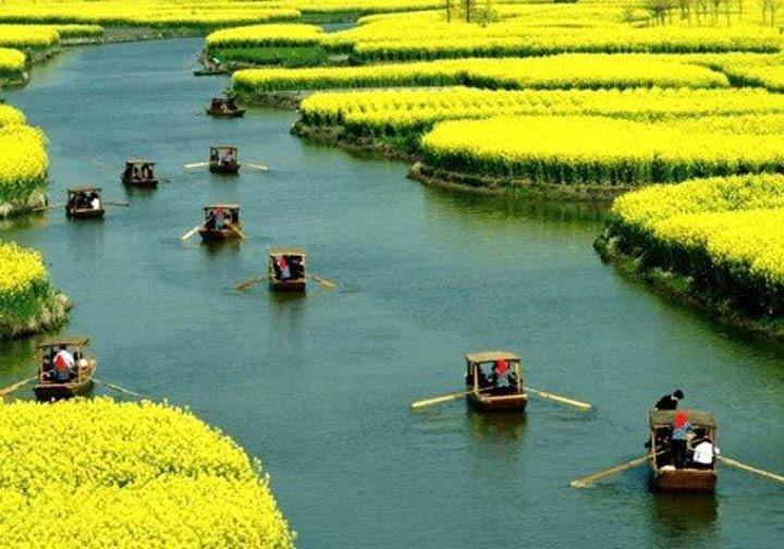 北京油菜花田风景,北京田村油菜花海全攻略