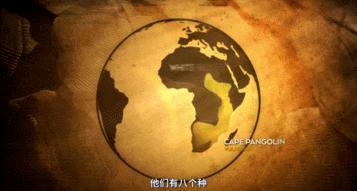 穿山甲报应,报应啊