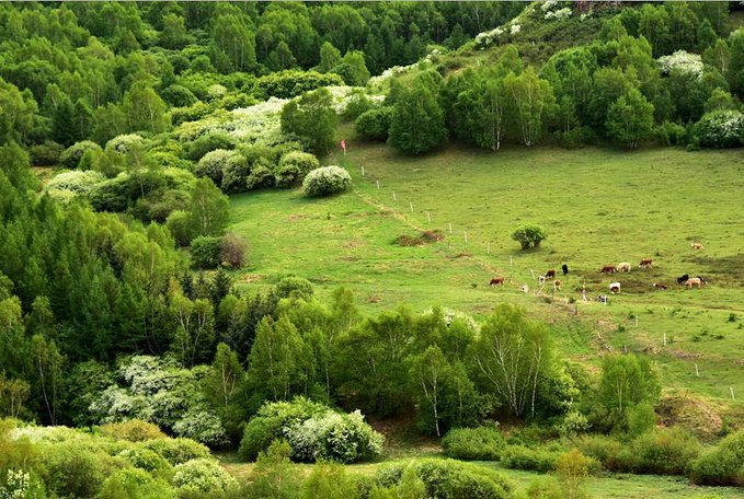 坝上三大景点,坝上草原是丰宁还是围场的