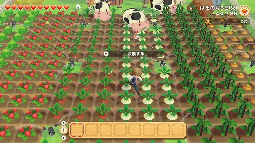 黑五打折必买的东西,黑五特价超值