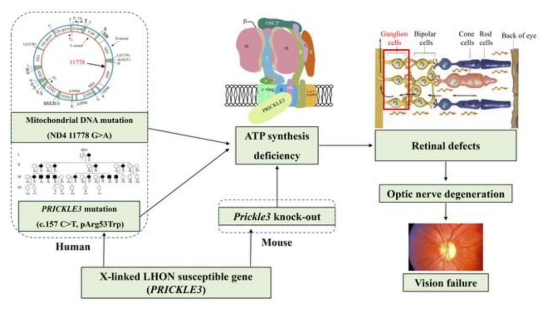 浙大管敏鑫科研团队,浙江大学管敏鑫