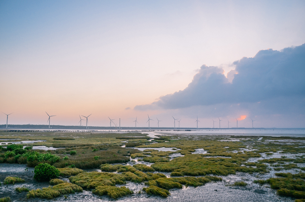 地方叫高美湿地,绝美滩涂,吸引了无数人来打卡日落美景