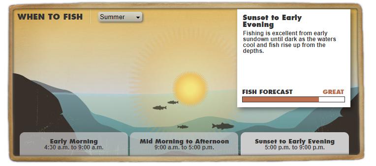 发钓鱼视频的最佳时间,什么时间钓鱼是最佳时间