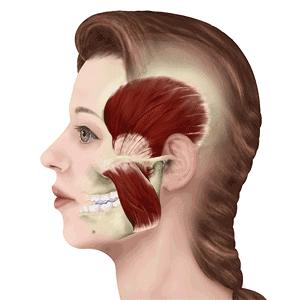 脸大的女生适合哪种脸型,女性脸有4个特征是富贵脸