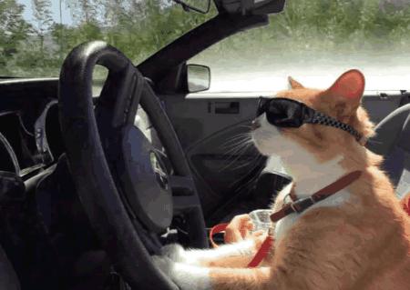 加州十大景观自驾线路,加州景点打卡攻略大全