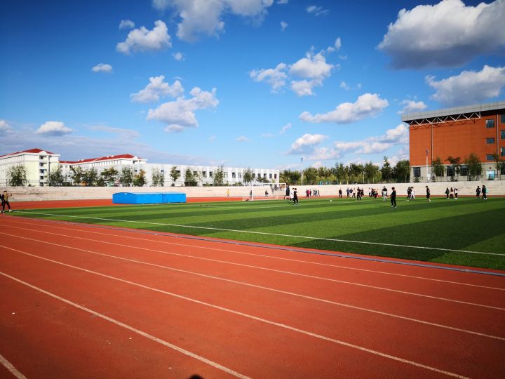 黑龙江东方学院院系,黑龙江省内大学本科