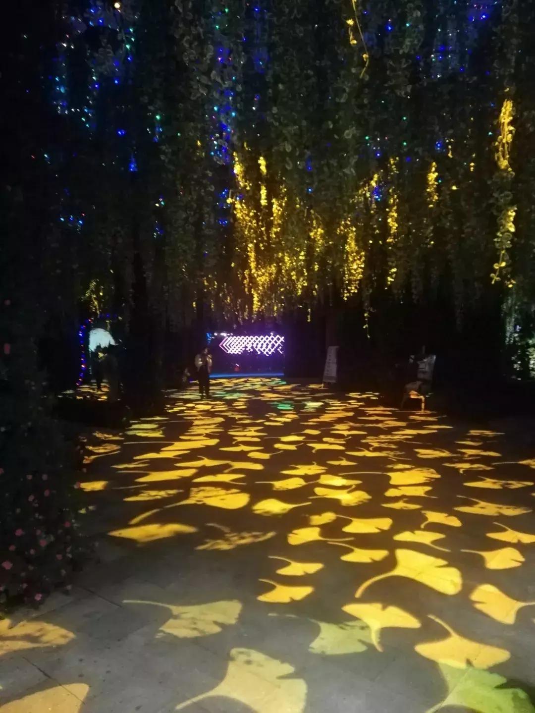 玩转秋梦,尽兴奇幻丨花径探奇乐园首次亮相,奇趣酷玩迎国庆