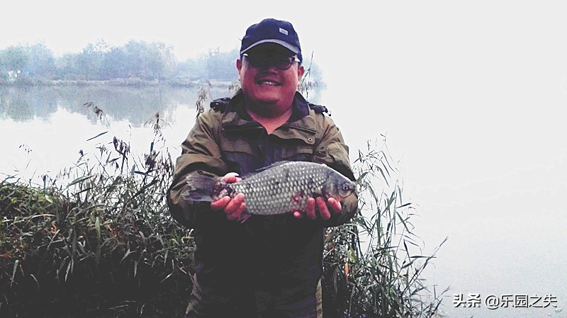 岸筏钓鲫鱼双钩怎么钓视频,岸筏野钓鲫鱼用多少编pe线好