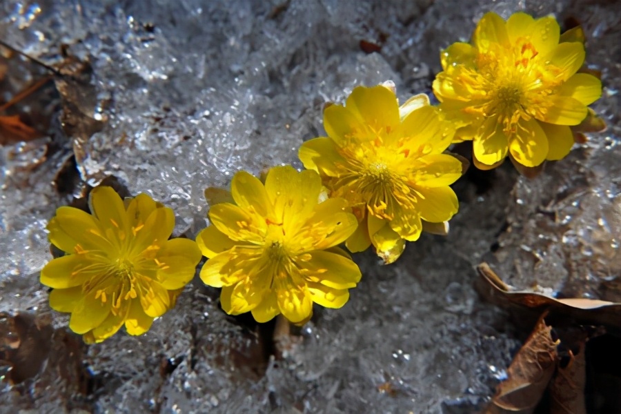 创意写话一年级简单,创意写话90字