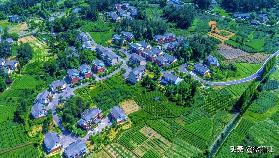 成都蒲江新闻一周要闻,成都日报在线观看