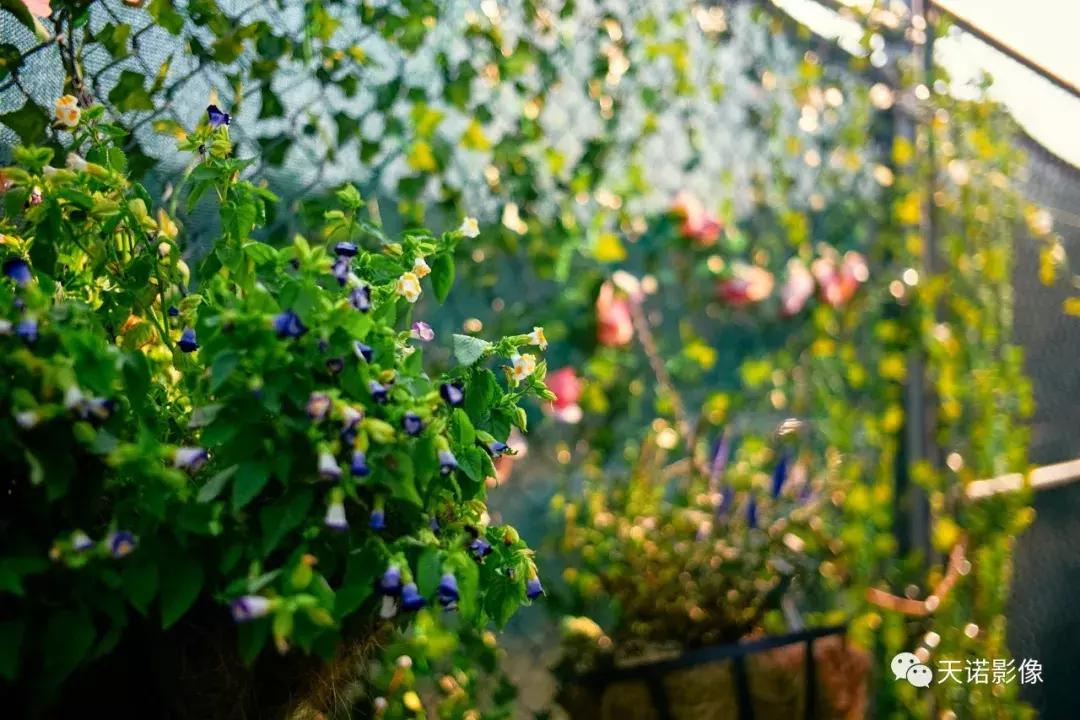 深入解读｜史上最安静的徕卡M相机—LEICAM10