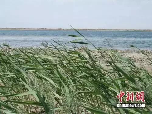 描写甘肃的爆火文章,一篇文章了解甘肃