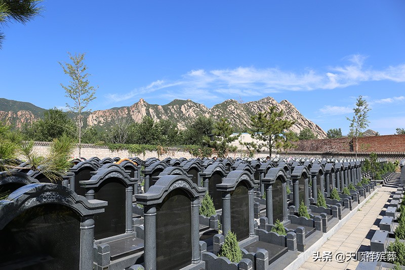 现在买个墓地需要多少钱？墓地价格会一直上涨吗？