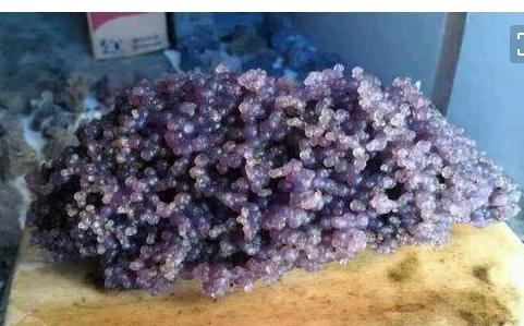 新石种大全,最新发现的石种