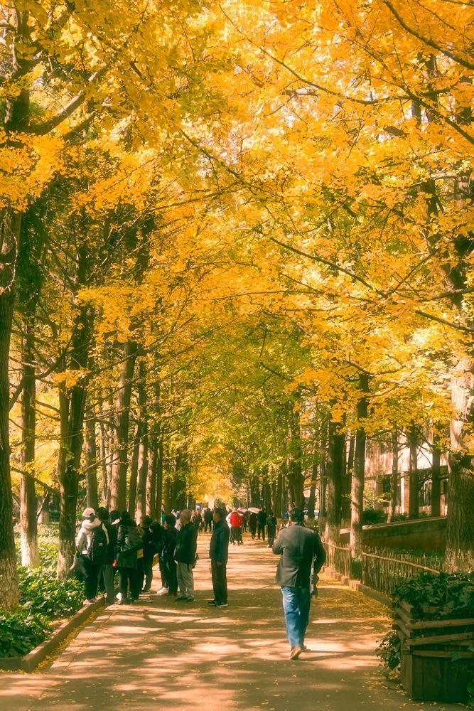 如何调出电影感画面以及人物色彩,电影感色调的调色方法